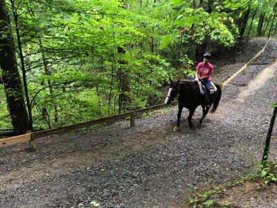 Big Rock Dude Ranch at Ponderosa