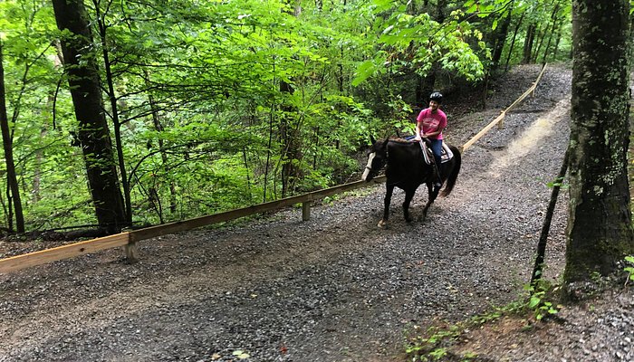 Big Rock Dude Ranch at Ponderosa