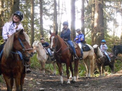 Lang's Horse and Pony Farm