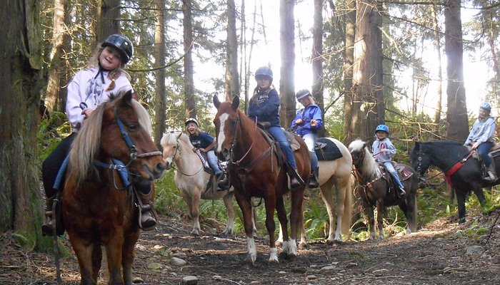 Lang's Horse and Pony Farm