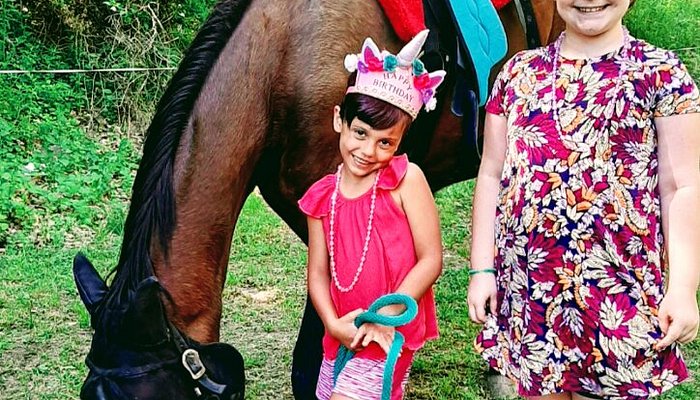Saddle Up Acres