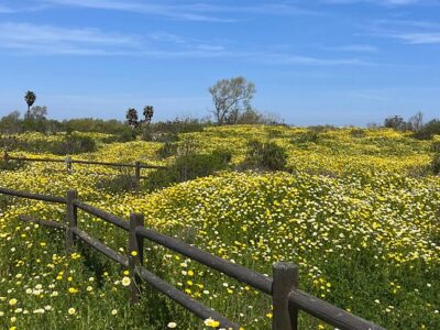 Blanco Brothers Ranch