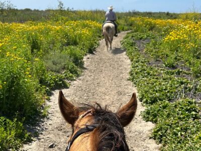 Blanco Brothers Ranch