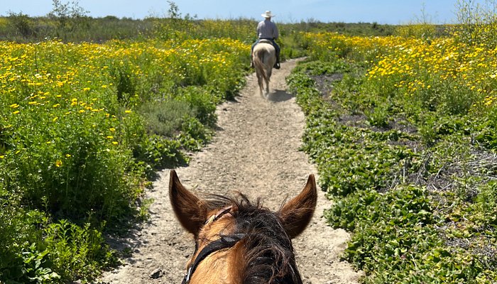 Blanco Brothers Ranch