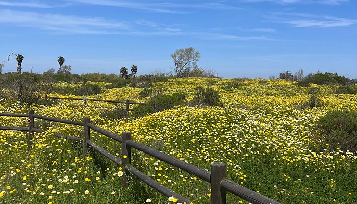 Blanco Brothers Ranch
