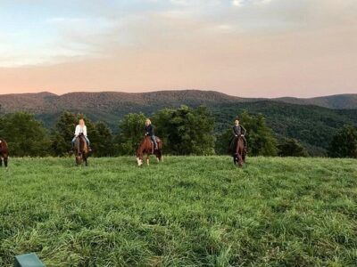 Mountaintop Ranch Wilderness Trail Rides