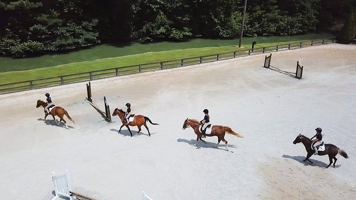 Windwood Equestrian