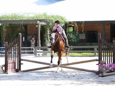 Windwood Equestrian