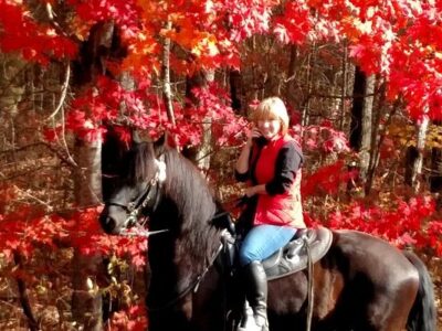 Saddle View Outfitters