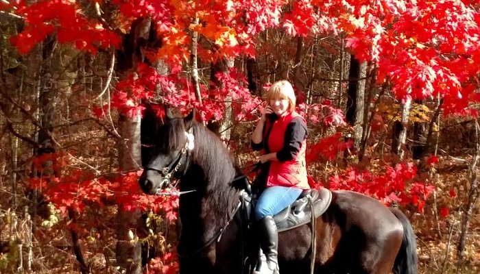 Saddle View Outfitters