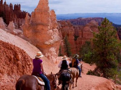 Canyon Trail Rides