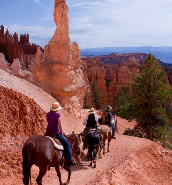 Canyon Trail Rides