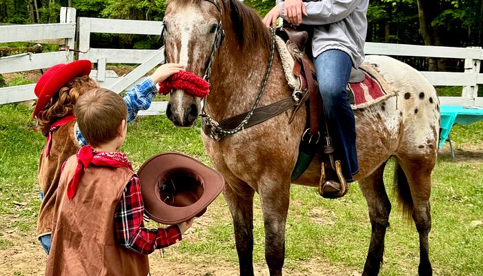 Dancing Horses, Llc