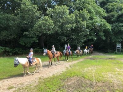 The New York Equestrian Center