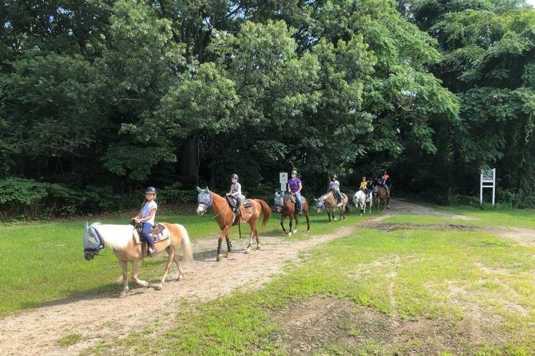The New York Equestrian Center