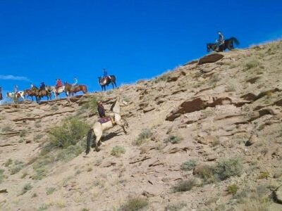 Acacia Riding Adventures