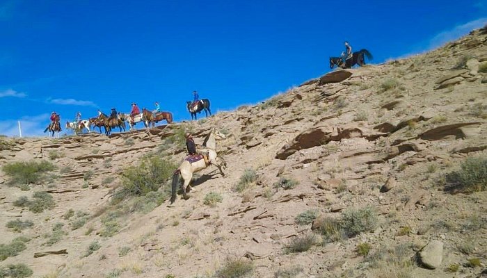 Acacia Riding Adventures