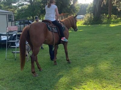 Honey Ridge Stables