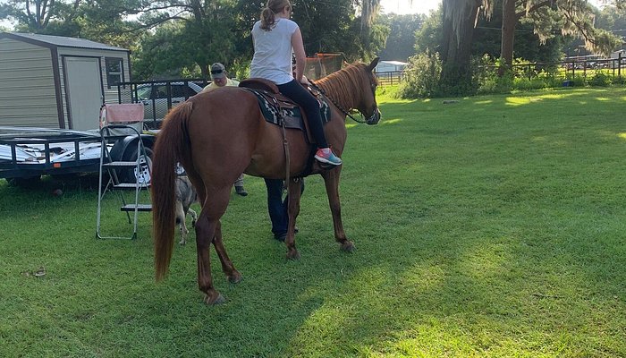 Honey Ridge Stables