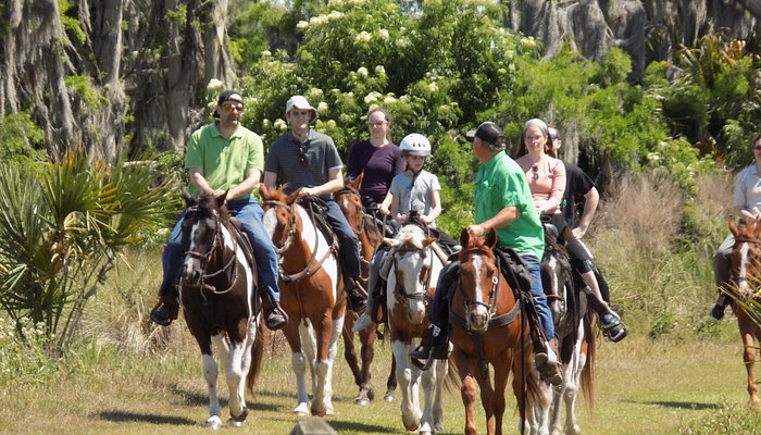 Horse Riding Orlando