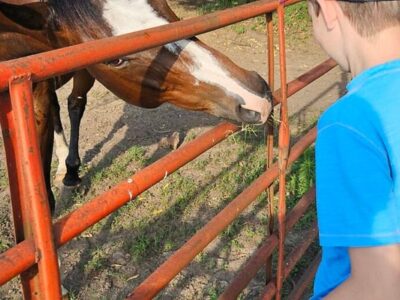 Monkey Island Trail & Hayrides