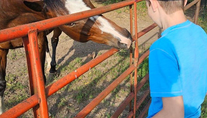 Monkey Island Trail & Hayrides