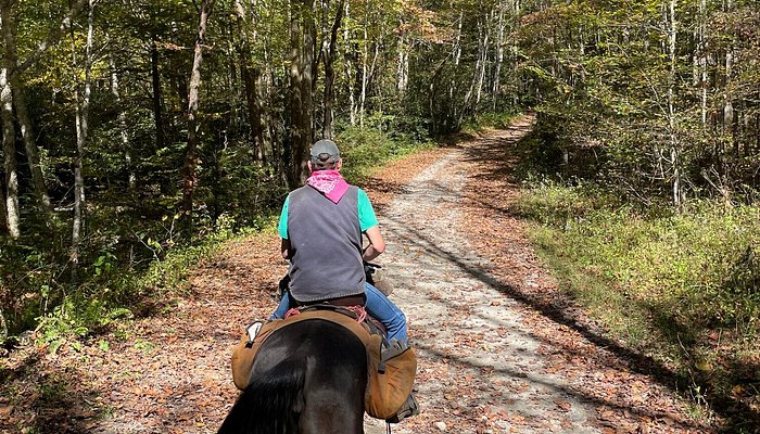 Smokemont Riding Stables