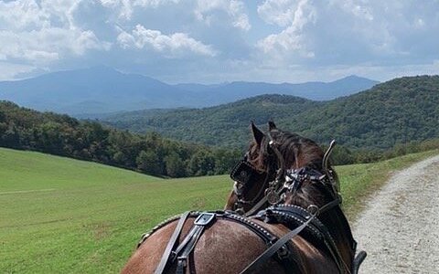 Carriage Run Carriage Service