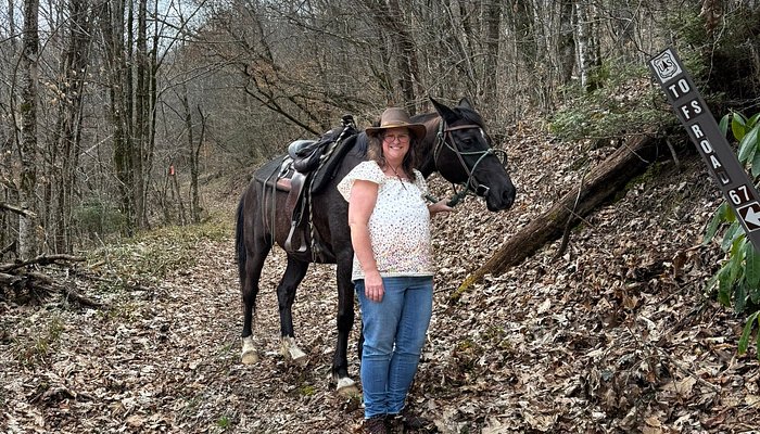 Chunky Gal Stables