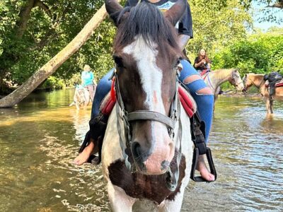 Riverside Riding Stables