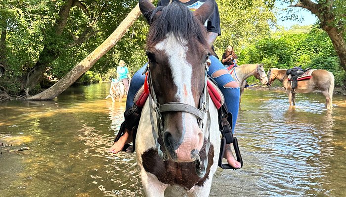 Riverside Riding Stables