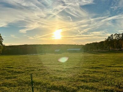 C&C Farm
