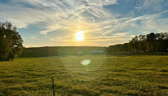 C&C Farm