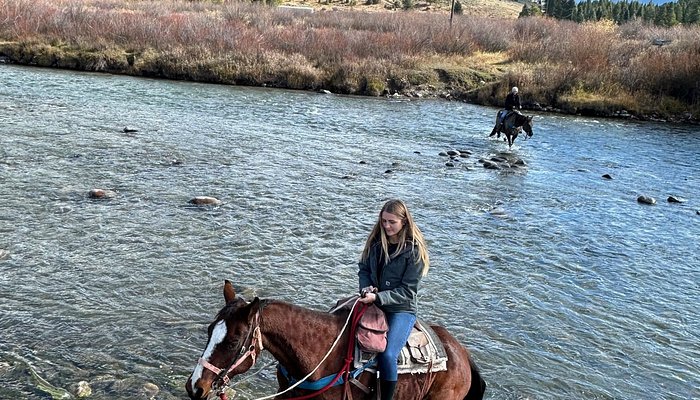Jake's Horses