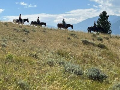 Elk River Outfitters