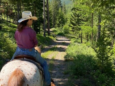 High Country Trails