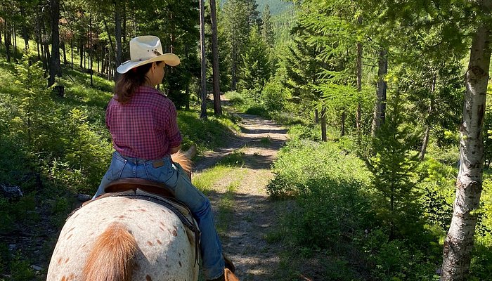 High Country Trails