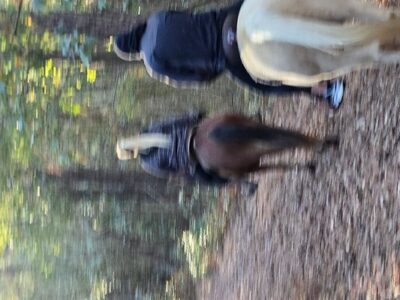 County Line Horse Trail Rides