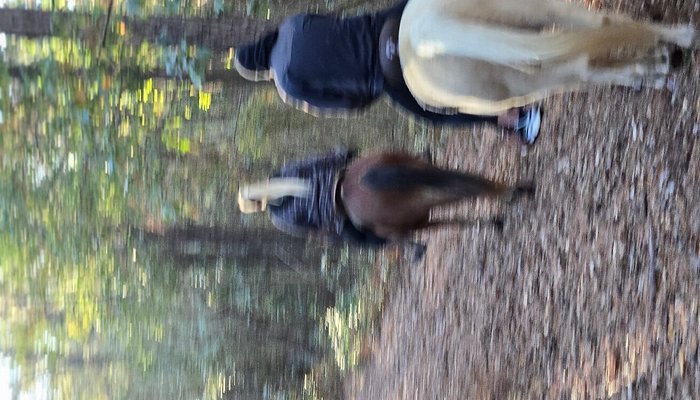 County Line Horse Trail Rides