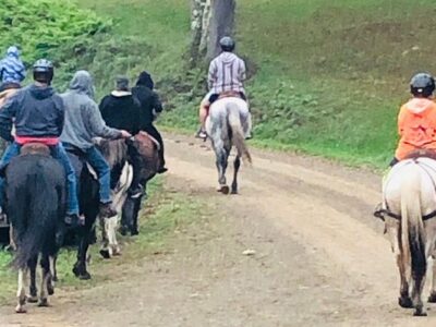 Summit Trail Rides