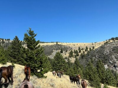 Silver Spur Ranch Idaho