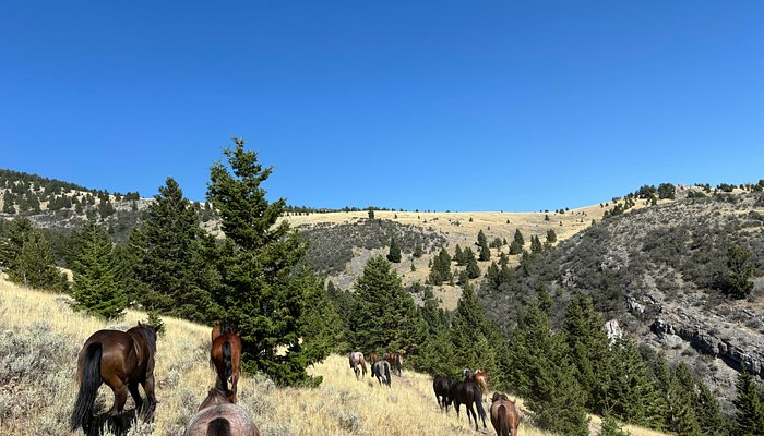 Silver Spur Ranch Idaho