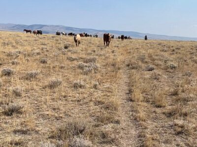 Silver Spur Ranch Idaho