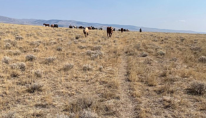 Silver Spur Ranch Idaho