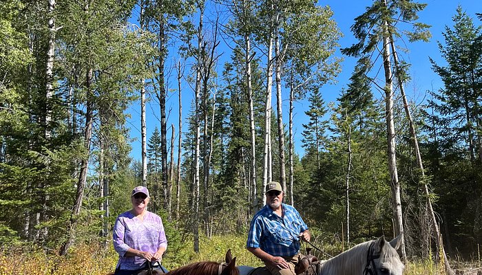 Bridle Path Quarter Horses