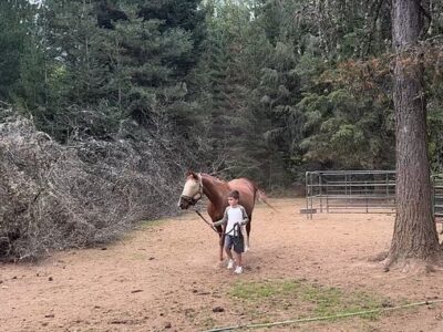 Adventure Pony Rides