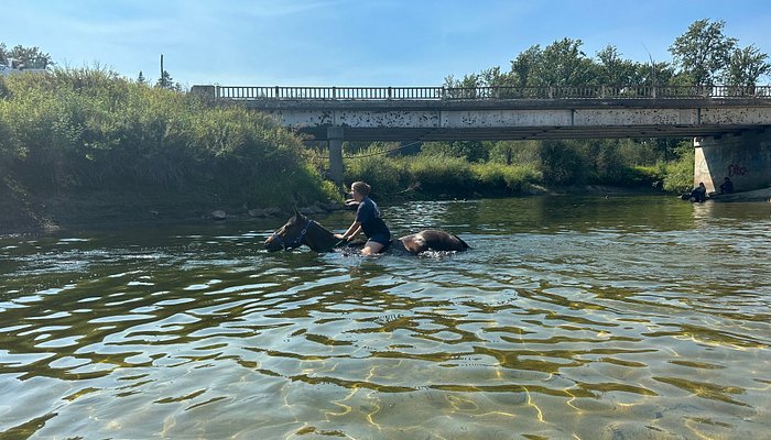 North Idaho Therapeutic Horse Riding
