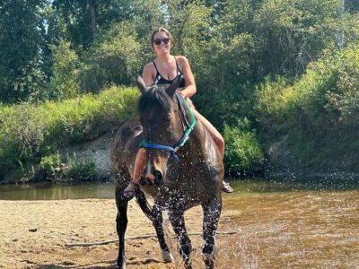 North Idaho Therapeutic Horse Riding