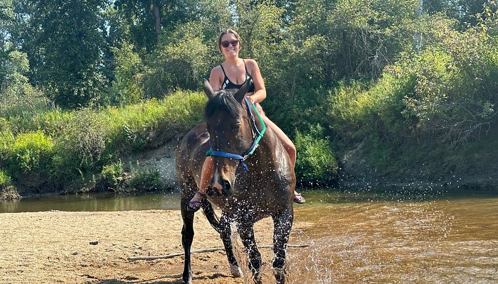 North Idaho Therapeutic Horse Riding