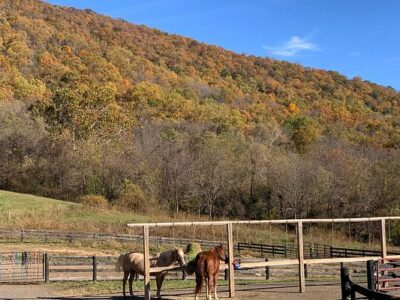 Marriott Ranch Trail Barn